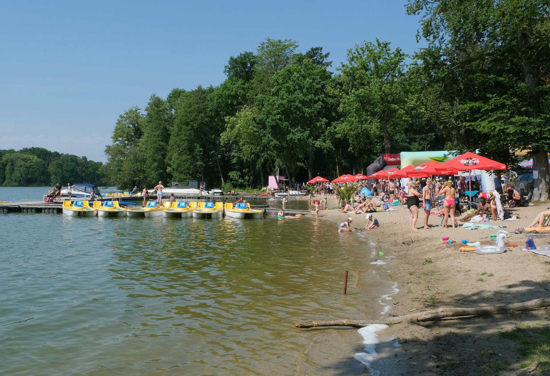 Zielony park w Sulejówku z ludźmi odpoczywającymi na kocach podczas majówki